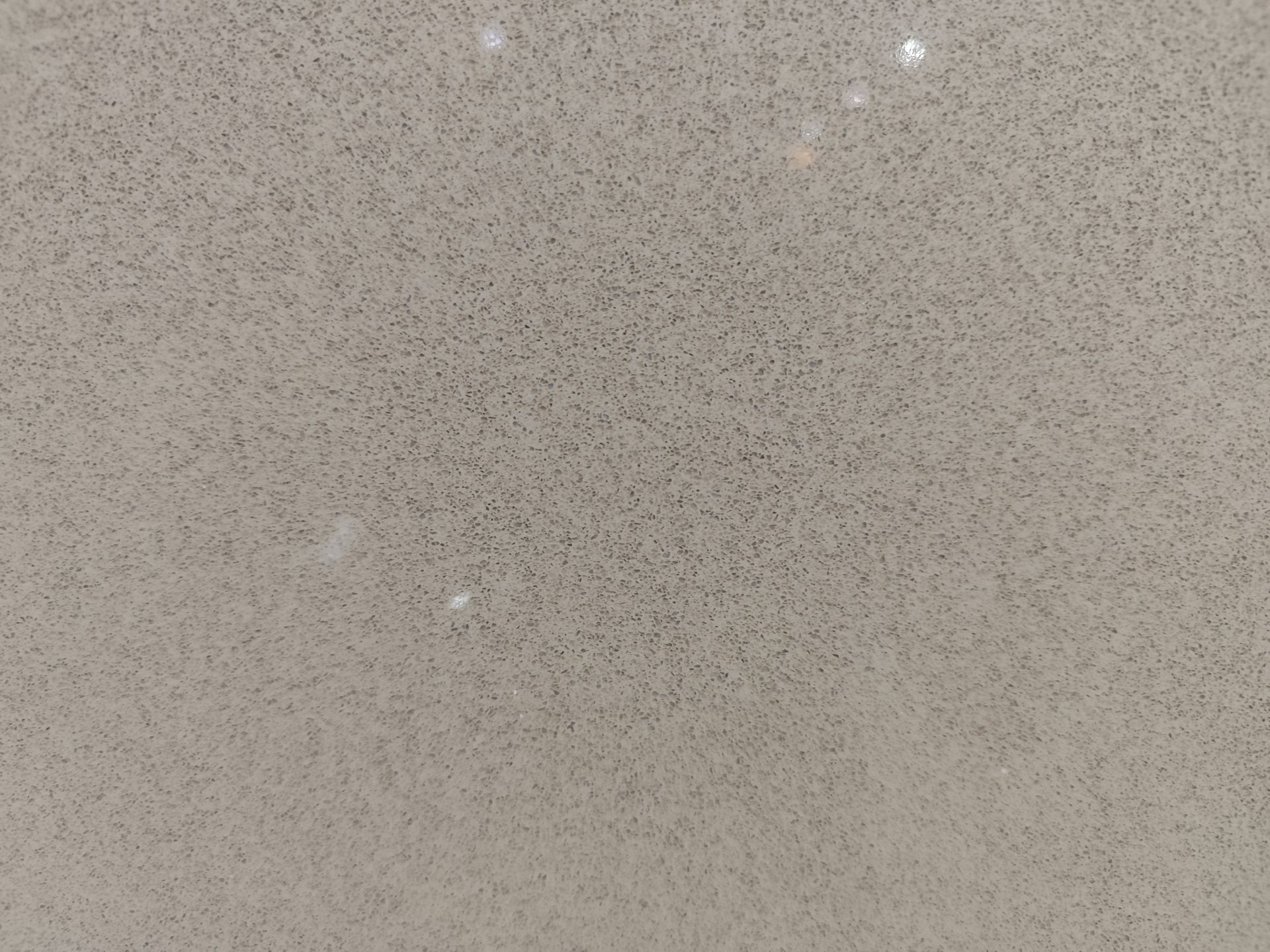 Walnut slab view 2