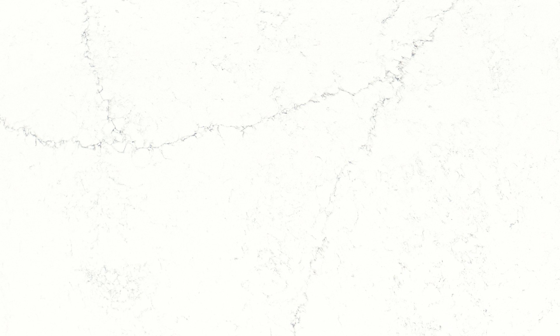 Venato slab view 2