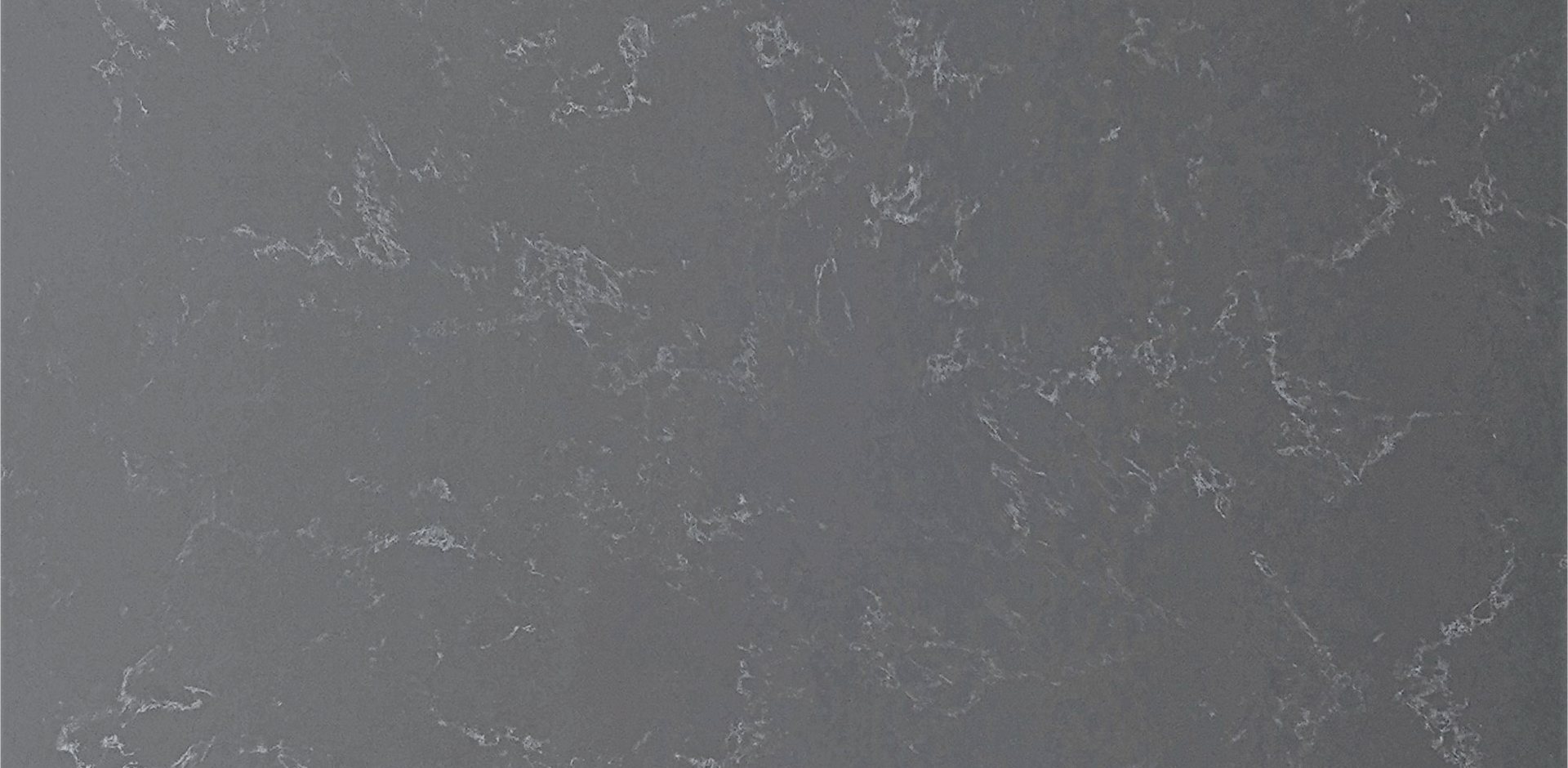 Fossil slab view 2