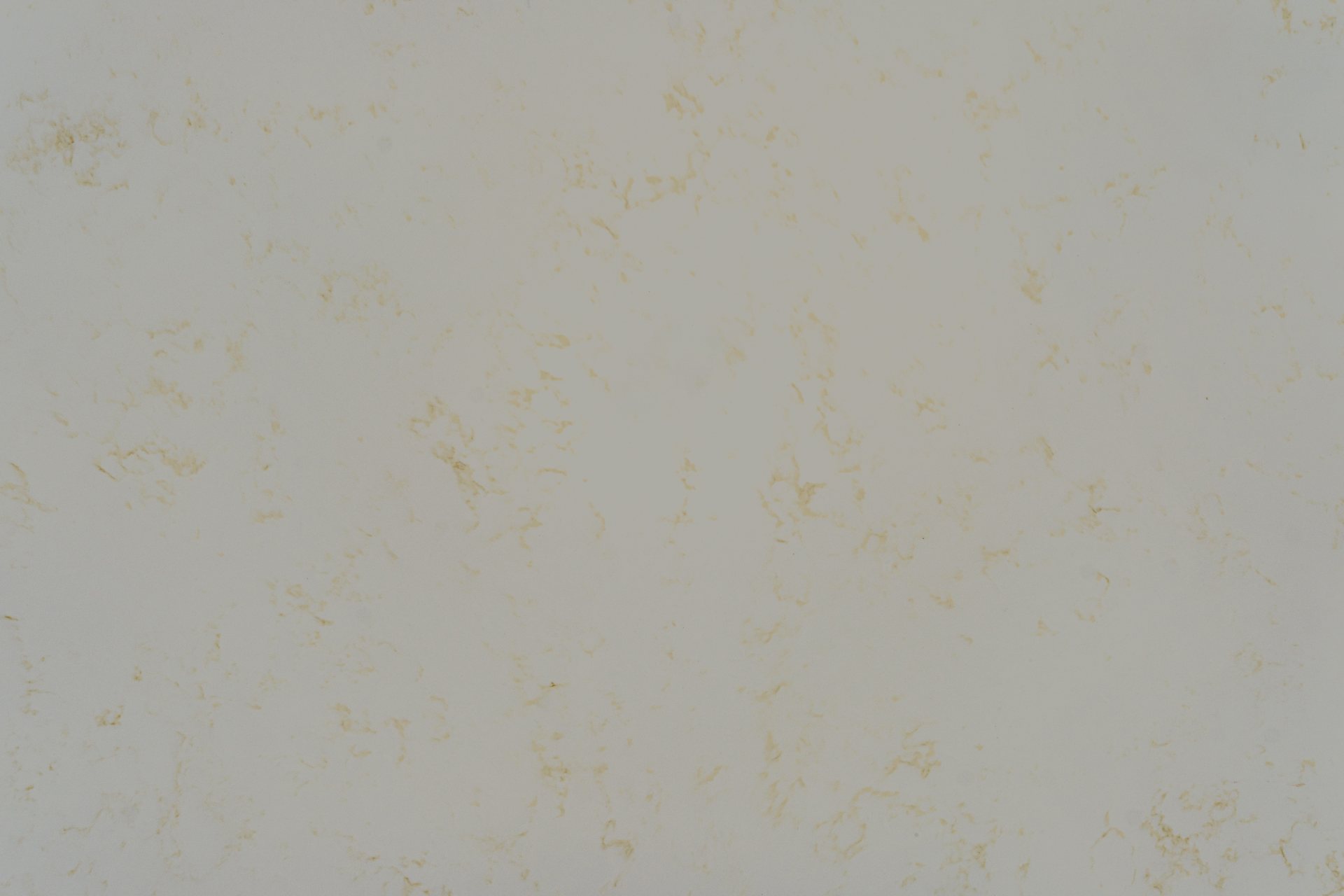 Bianco Verona slab view 2