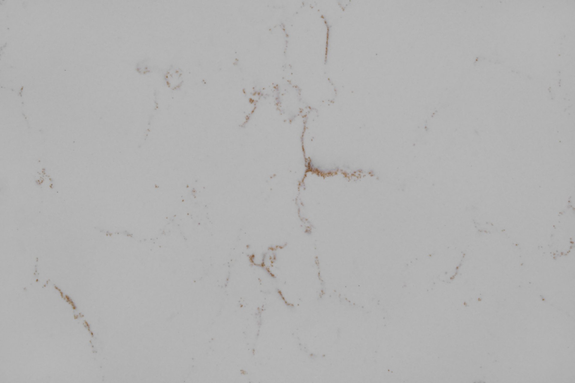 Capricorn Gold slab view 2