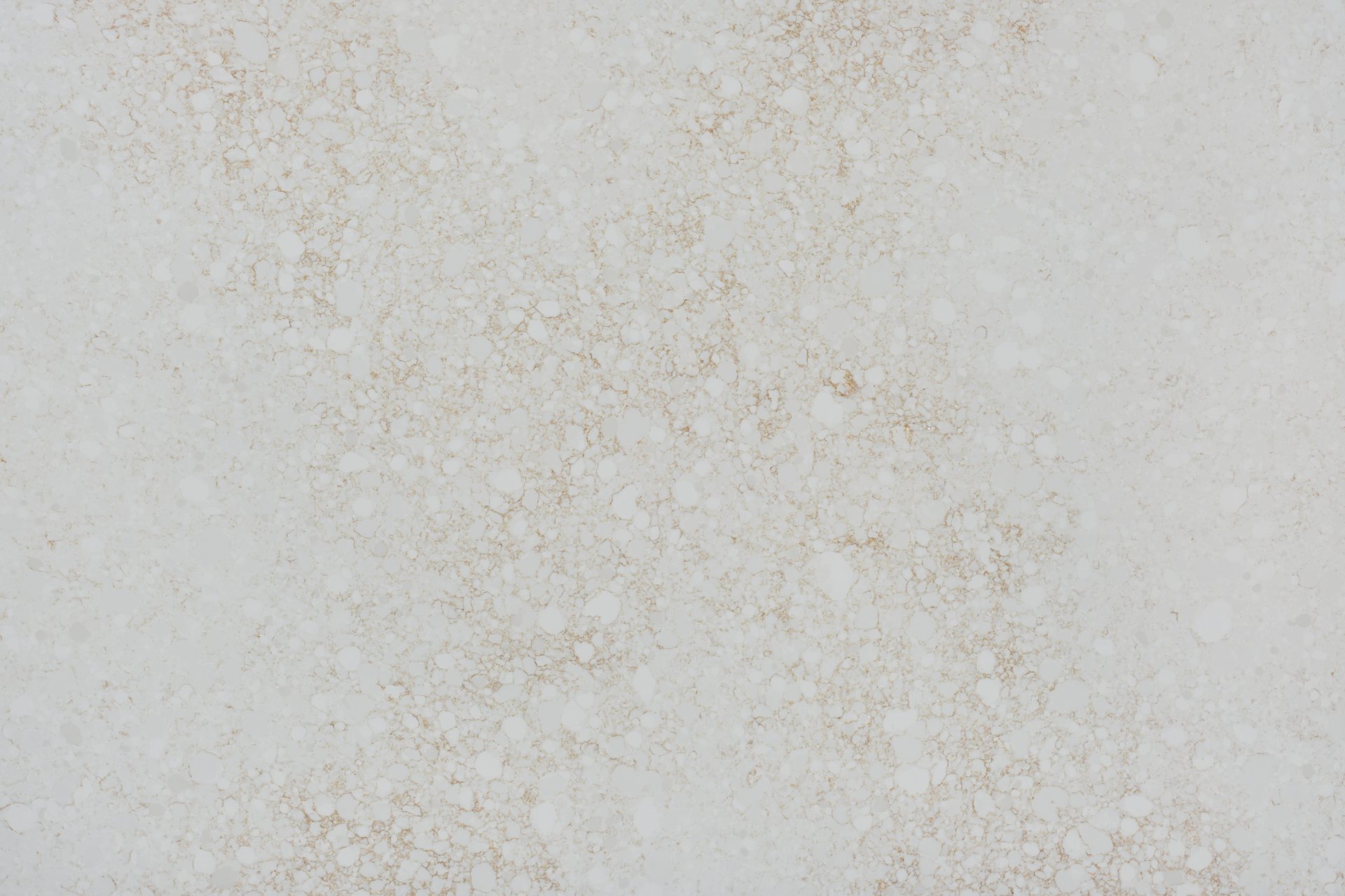 Sonoran slab view 2