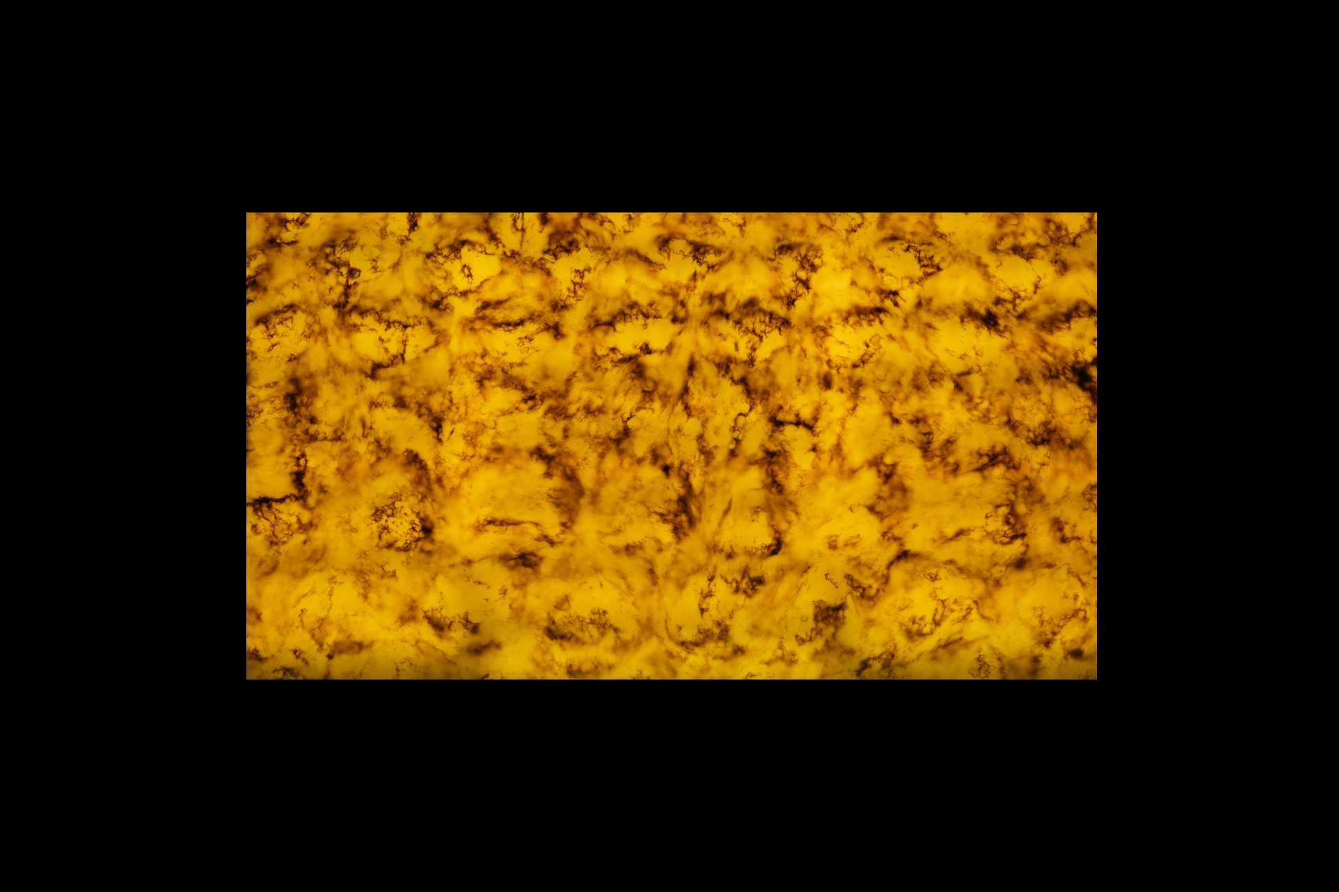 Crystal Ash slab view 2